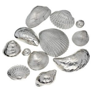 Set of 12 shells
